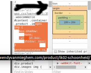 inspect-element