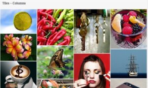 gallery plugin | Unite gallery, een bijzondere gallery plugin