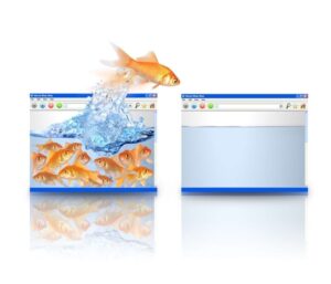 wordpress website verhuizen | Je WordPress Website verhuizen zonder downtime