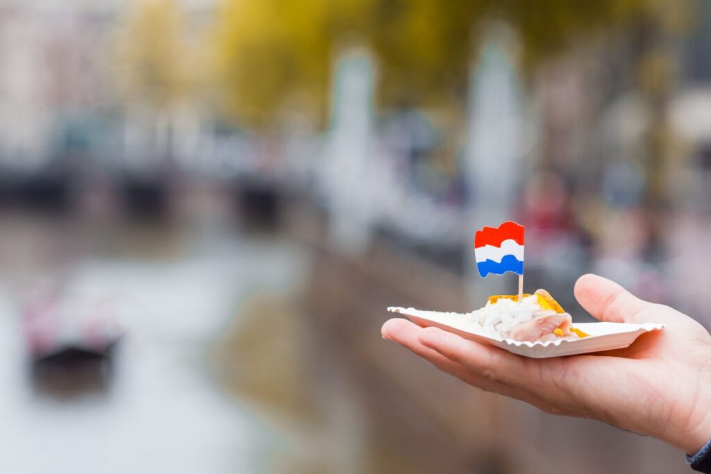 Tasty fresh herring with onion and netherland flag on the water channel background in Amsterdam