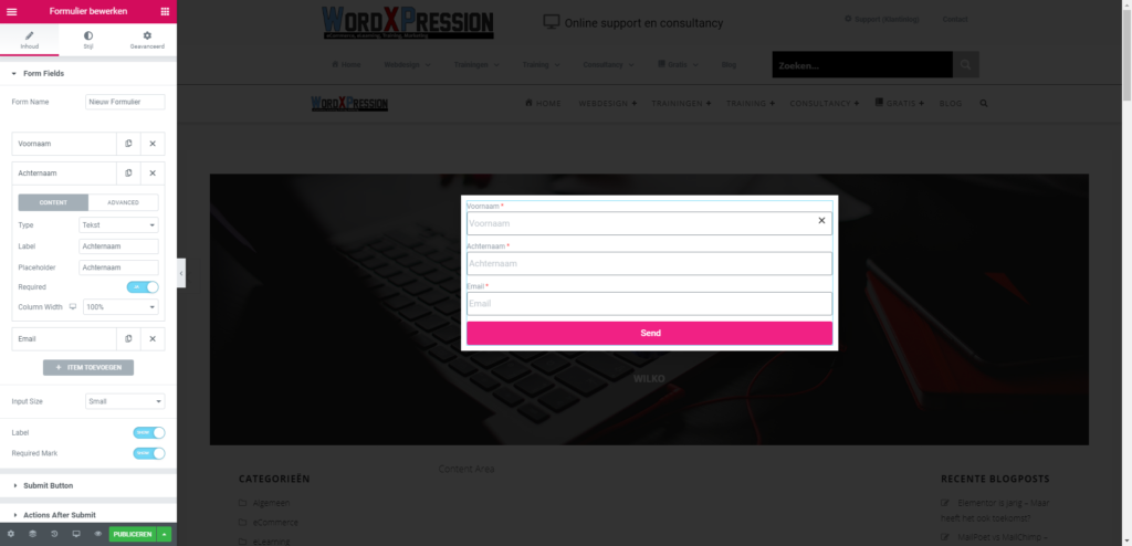 MailPoet met Elementor Pro formulieren gebruiken. Kan dat? 4 mailpoet met elementor pro