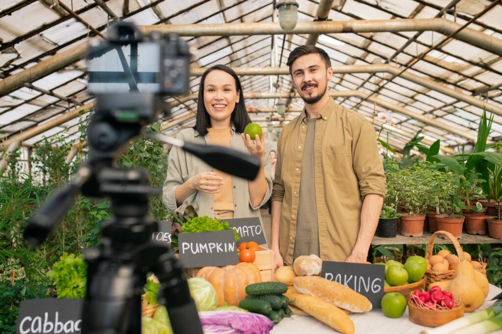 succesvolle online video cursus