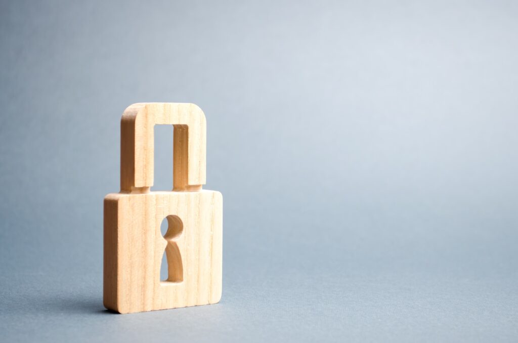 hoe veilig is wordpress | Hoe veilig is WordPress nu echt?