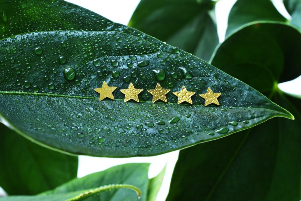 WooCommerce Product Reviews Pro