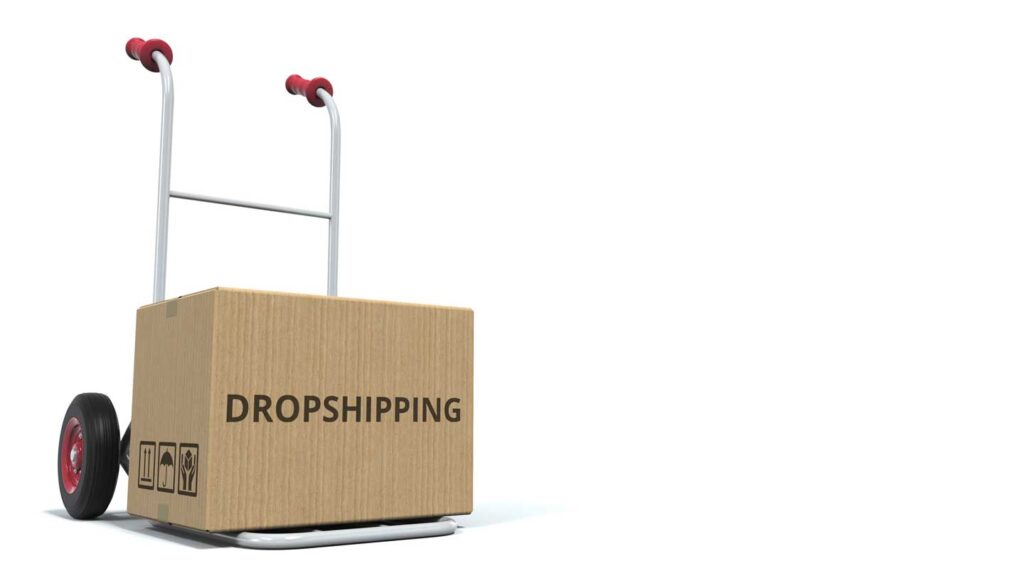 dropshipping entrepreneur