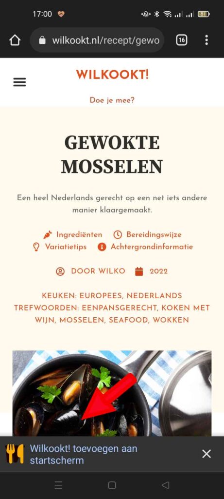 wordpress pwa | WordPress PWA- Tussen een app en een website in!