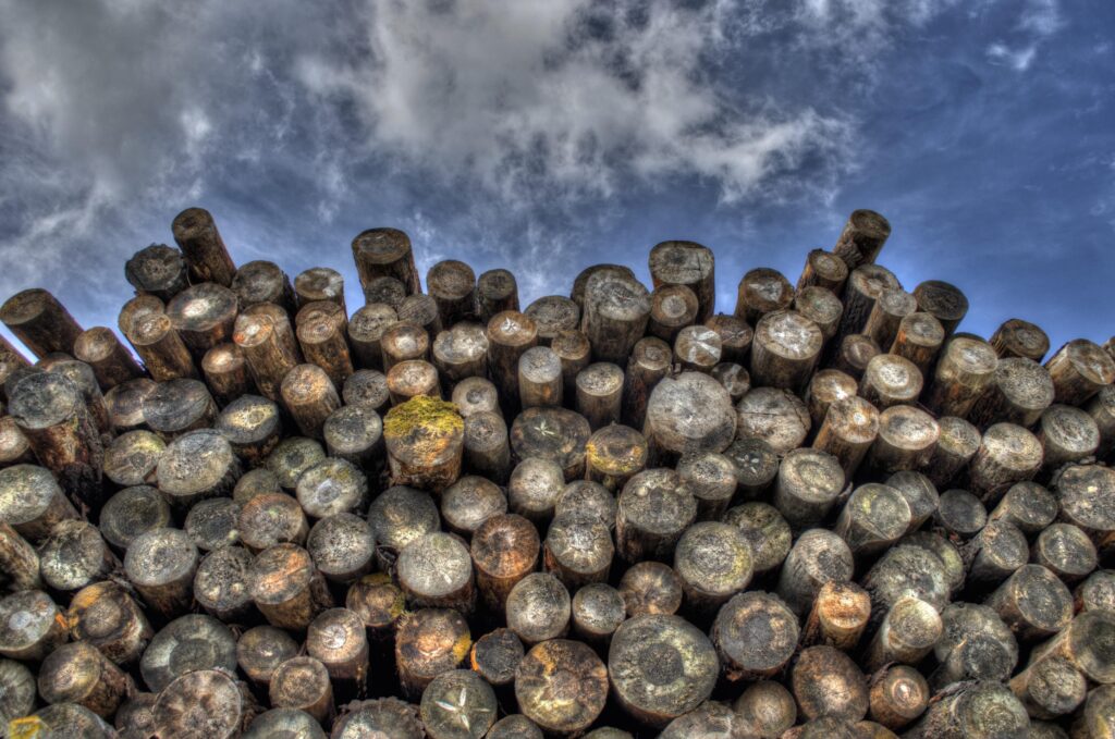 Twig en Timber