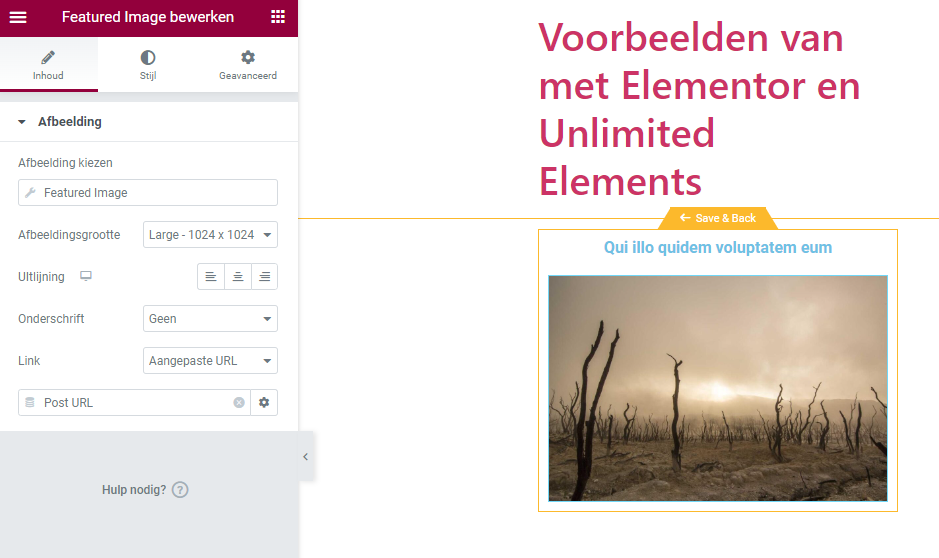 elementor loop builder | Werken met de Elementor Loop Builder