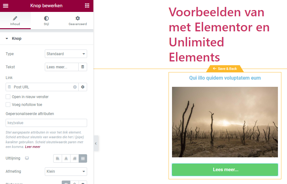 elementor loop builder | Werken met de Elementor Loop Builder