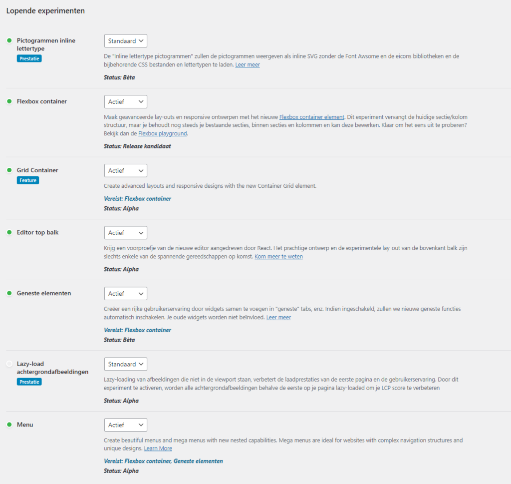 Elementor 3.13 - Grid Container activeren
