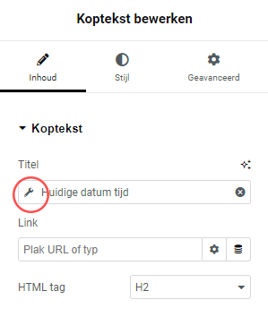 Elementor Dynamic Tags - Parameters