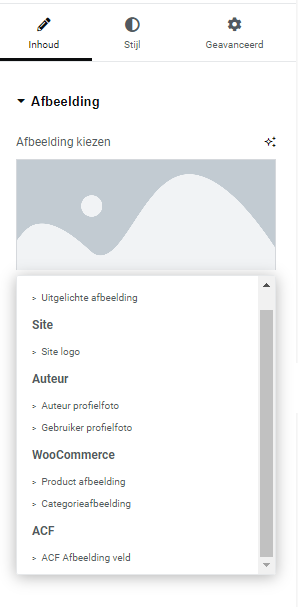 Elementor dynamic tags | Zeven dingen die je met Elementor Dynamic Tags kan doen