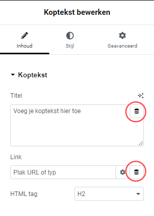 Elementor Dynamic Tags