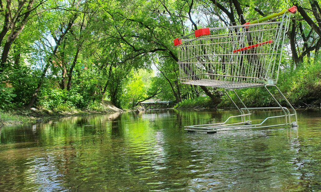 Intelligente Abandoned Cart 