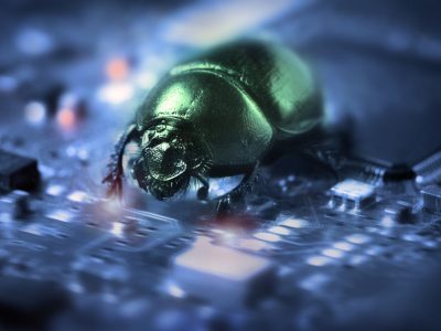 computer-bug
