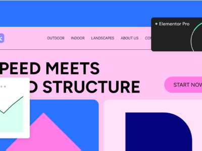 elementor-325-beta