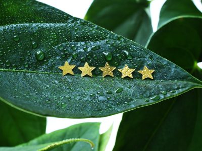 Five stars review