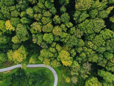 green-trees-from-the-top-drone-shot-save-the-planet