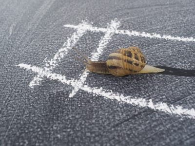 in-spiral-slow-journey