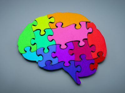 Neurodiversity concept. Brain from colorful puzzle pieces.