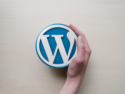 wordpress-expert