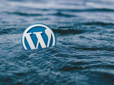 wordpress-water-logo-588494